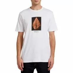 Volcom Men's Short-Sleeve T-Shirts Frond Short Sleeve T Shirt Men's